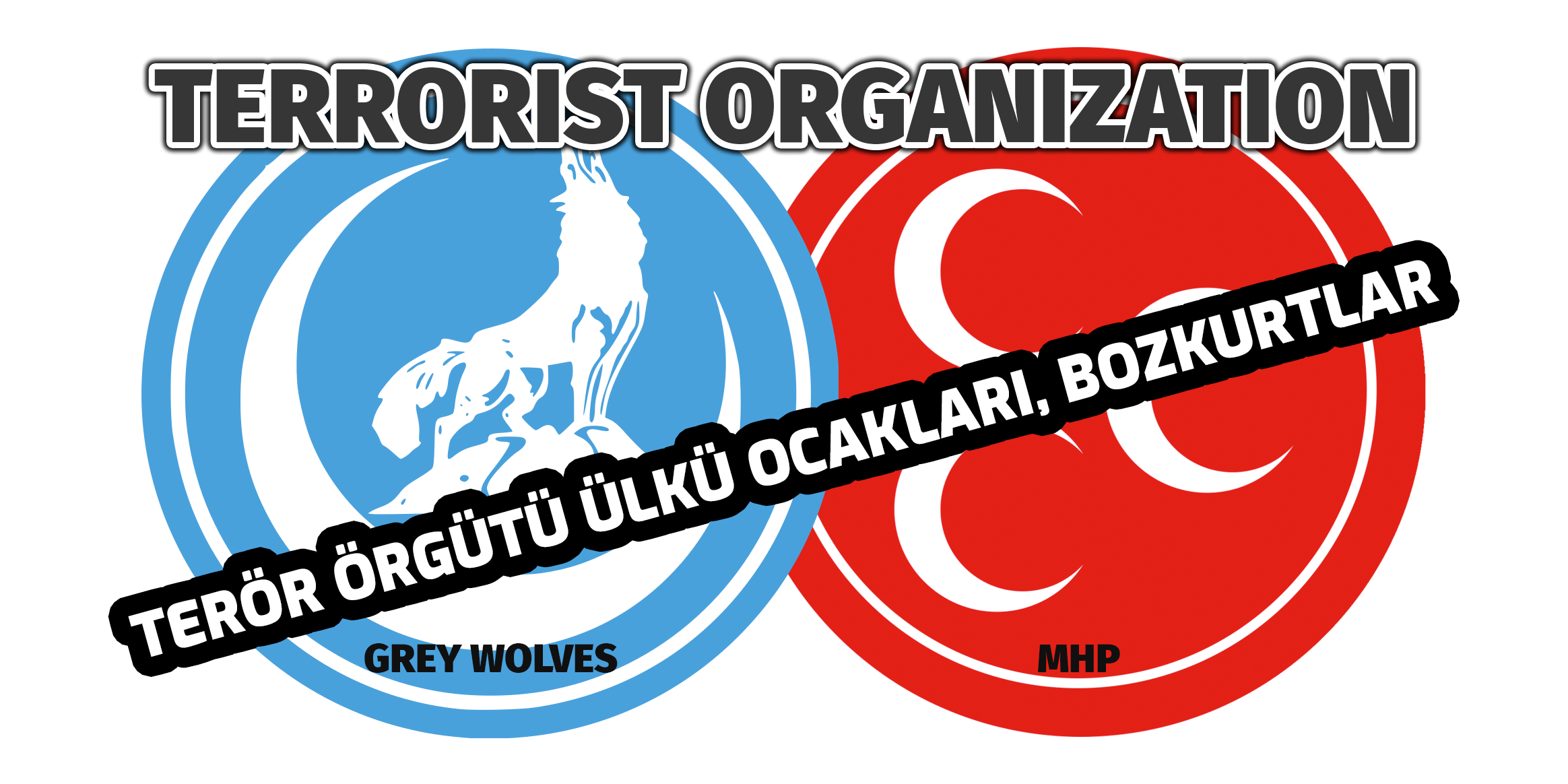 France bans Turkish terrorist group Grey Wolves, youth wing of MHP government party with AKP